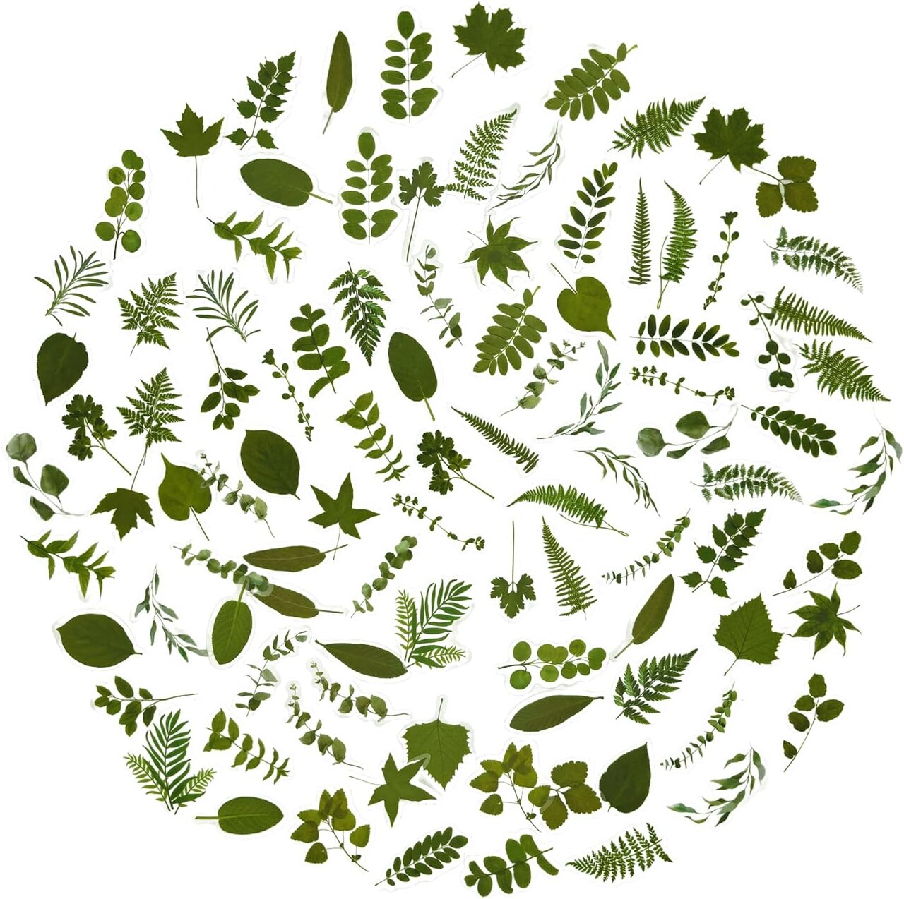 100Pcs Small Green Leaf Stickers,Nature Plant Stickers (Flower)